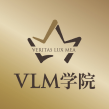VLM学院